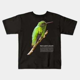 Short-tailed emerald hummingbird against the blue sky Kids T-Shirt